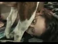 Petite pure breasted amateur cougar sucking animal cock in this steamy zoophilia footage